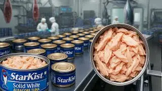 How Canned Tuna Is Made – From Ocean to Table! 🐟🥫