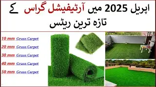 Artificial Grass Prices in Pakistan| Grass Carpet Prices | Austro Turf Rates | Latest Grass Rates