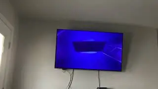 Brody watching the opening to kings ransom
