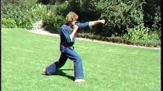 PUNCHING & KICKING #2