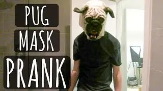 PUG MASK PRANK