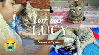 Hamari Lucy Kahin Chali Gayi 😭 | Shifa Ro Rahi Hai 💔 | Emotional Family Vlog