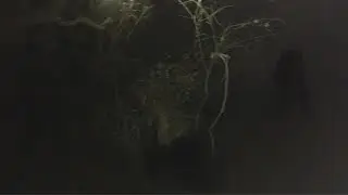 EXPLORING THE DONKEY LADY BRIDGE!!!! Part 1 #SanAntonio