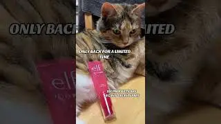 Cat Approved Beauty Hacks with #fok #elf #makeup #beauty