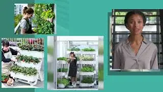Bring your garden to indoor spaces with GROW24 Vertical self-watering planters