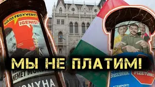 Зеленский избирается в Венгрии? Шок-плакаты в Будапеште