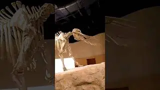 Daily Routine in Riyadh Saudi Arabia | The National Museum #shortvideo #minivlog #vlogs