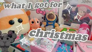 what I got for christmas 2022 | sanrio anime kawaii galore #whatigotforchristmas #sanrio #animehaul