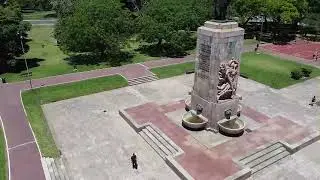 video drone de Buenos Aires en primavera con los jaracarandas en flor por barrio parque.