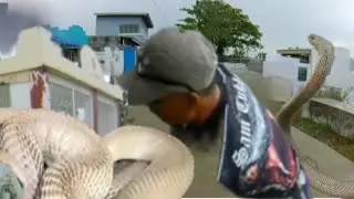 COBRA NA BANTAY SA P*ATAY ANG HULI NI SAM TUKLAW