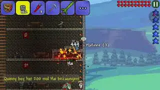 Simple Geldfarm (Terraria)