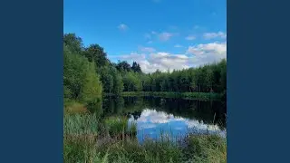 Forest Lake