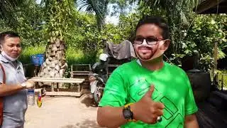 Rekreasi makan babi panggang bersama Kopitiam 5V di baddor km 32 desa lingga