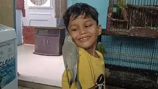 My Bird Setup VLog ! | Pet Guru Ajju Bhai
