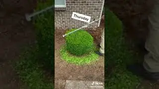 Chase Stetson - So which day can you start 😅 #lawntok #foryoupage #thatlawndude #KeepItRealMeals