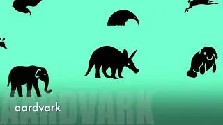 aardvark: a video definition