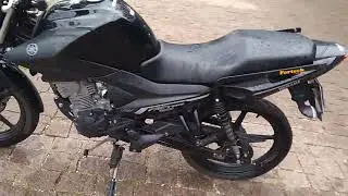 142601 - YAMAHA / YBR 150 FACTOR ED 21/22
