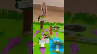 Food Web Science model #science #projects #science model #foodweb #diy /DIY Diya