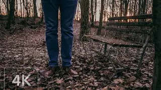 ASMR Walking in The Woods￼, Autumn Forest, ￼FOOTSTEPS On Leaves.