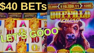 $40 Max Bet Jackpots On BUFFALO QUAD POWER 🦬 