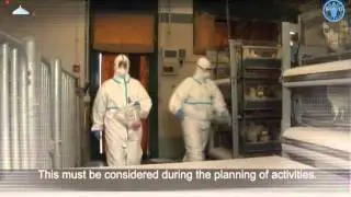 Personal Protective Equipment (PPE)