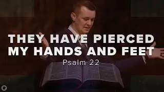 THEY HAVE PIERCED MY HANDS AND FEET: Psalm 22