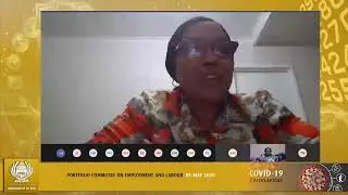 Portfolio Committee on Employment and Labour, 01 May 2020
