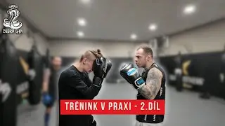 TRÉNINKY V PRAXI - 2.DÍL