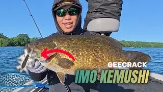 How to fish the IMO KEMUSHI (GEECRACK) - Fuzzy baits for Smallmouth Bass