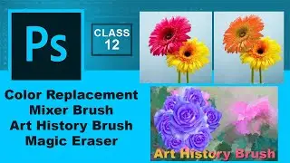 Photoshop Color Replacement, Mixer Brush, Art History & Magic Eraser Tool In Photoshop | Class-12