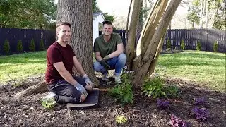 Planting Heaven Scent Jacob's Ladder | Gardener in Love
