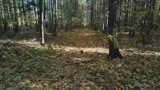 Runcam Thumb Pro. manual fix exposure+ flat +gyroflow
