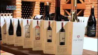 Vinuri fine, pasiune adevărată &ndash; Fautor Winery, lider al gustului