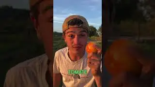 R&eacute;cup&eacute;rer ses graines de tomates 🍅 #permaculture #jardinage #legumes #potager #tomates #shots