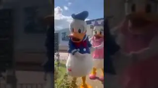 Daisy Duck Caught Cheating On Donald Duck...