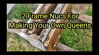 2 Frame Nucs For Making Your Own Queens
