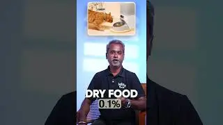 உங்க cat food ல taurine இருக்கா? இல்லனா அது real danger