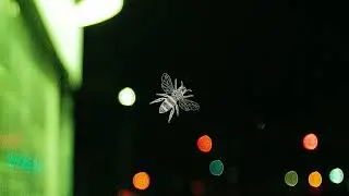 Every Empty Vein - FROM SHADOWS (Official Audio)