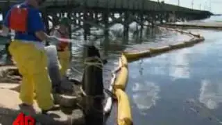 Anger Mounts As Oil Seeps Into Gulf Wetlands
