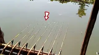 mencoba sepot perawan, ikan nya lumayan melimpah,ditambah lagi dapat ikan hias yang unik,