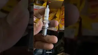Upgrade Pengapian Motor Klasikmu Review Lengkap Busi NGK D8EA di Tiger GLPro Megapro Thunder Scorpio