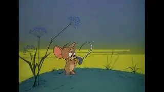 Tom & Jerry WB Kids Animation Video