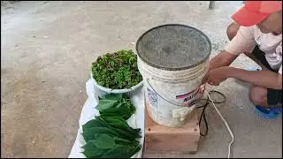 vegetable chopper | spin dryer motor 5uf capacitor