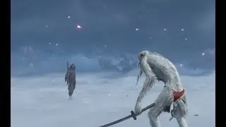 Master Ape vs Lone Shadow Longswordsman