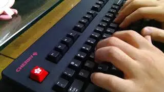 G80-3494 저소음적축 타건.