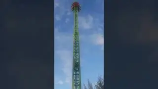 😱Scarydrop ride at jerudongpark brunei🔥 #short #youtubeshorts #ride #funny #brunei  #scary #trending