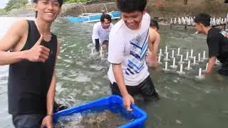 Menanam Karang Hari Ini, Menjaga Tangkapan Esok Hari #BERANITANGKAPBANYAK