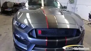 2016 Shelby GT350R Walk Around