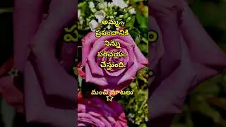 Jeevitha satyalu #3047 | telugu sukthulu | manchi matalu | quotations | neethi vakyalu | top matalu
