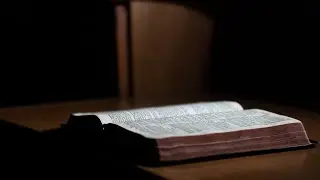 How to Prosper | Psalm 1:1-6